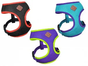 Active Soft Harness