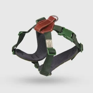 Explore| Adjustable Harness with Leather Green