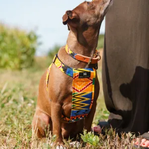 Kente Dog Harness