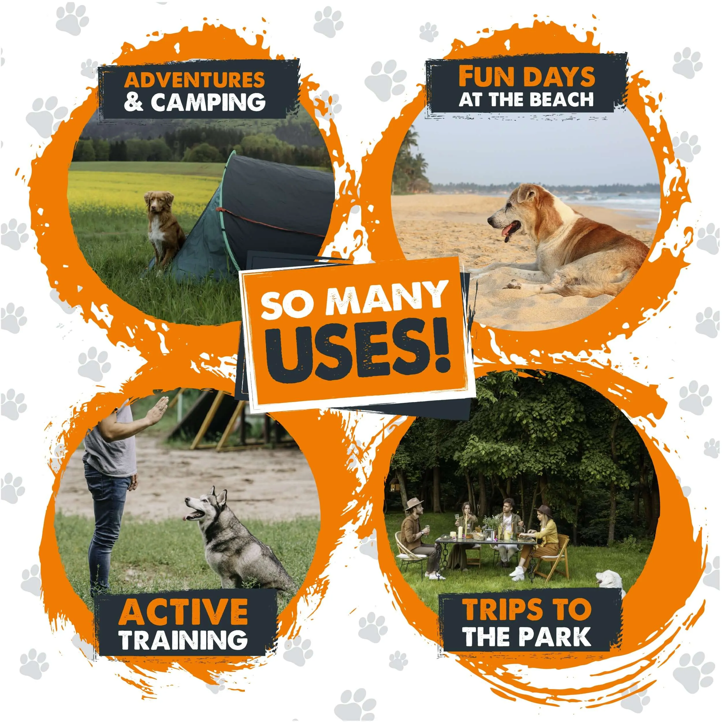 Mighty Paw Heavy-Duty Dog Tie Out Stake for Outdoor Safety
