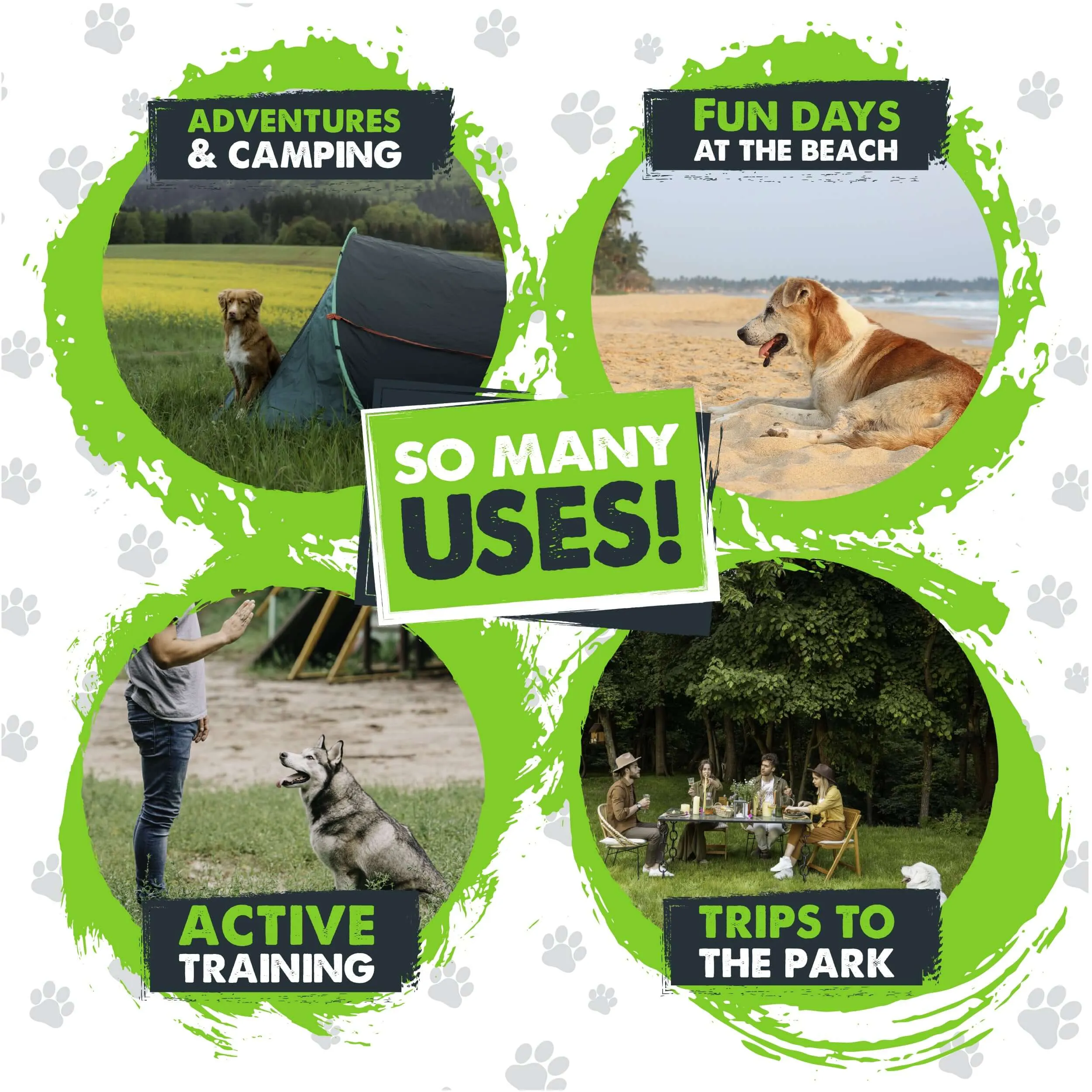 Mighty Paw Heavy-Duty Dog Tie Out Stake for Outdoor Safety