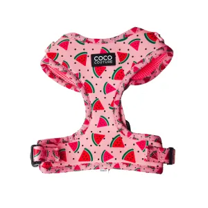 One in a Melon Dog Harness