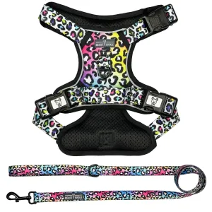 Rainbow Leopard No Pull Harness Bundle