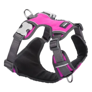 Red Dingo Padded Harness Hot Pink M
