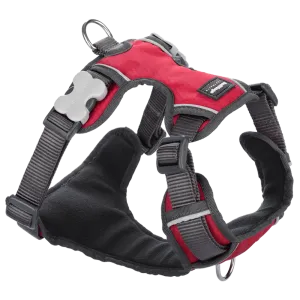 Red Dingo Padded Harness Red L