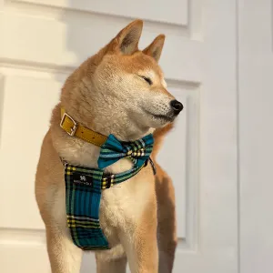 Shuka Blue Dog Harness